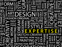 Image - lien page expertise